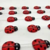 Ladybug diamond stickers, colored diamond stickers, acrylic diamond stickers, mobile phone decorative stickers, children's DIY stickers, vase decorative sticker materials Specification image